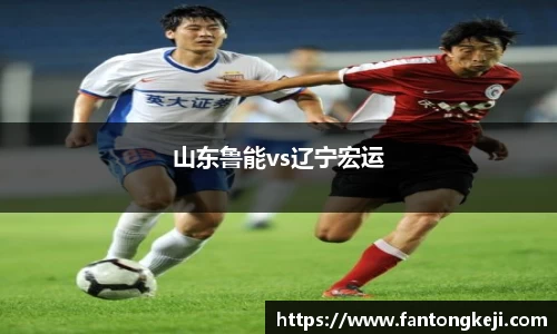 山东鲁能vs辽宁宏运